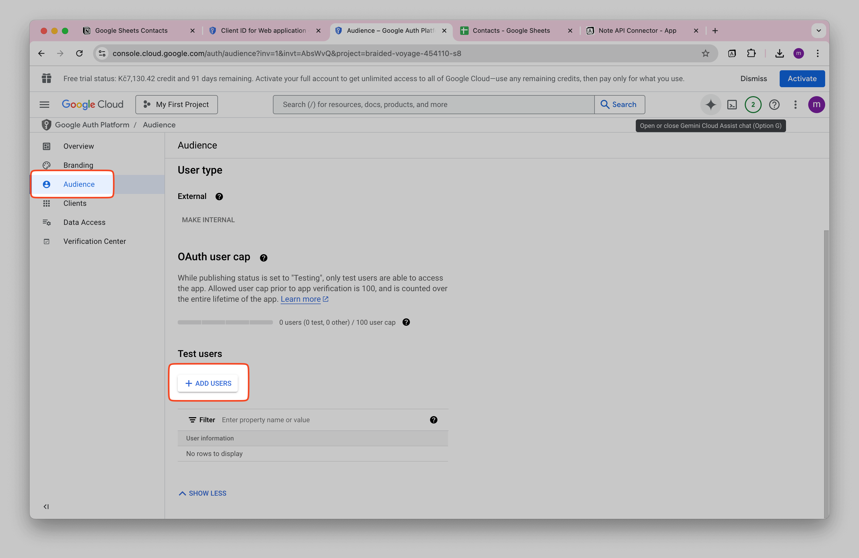 Google Cloud OAuth Audience